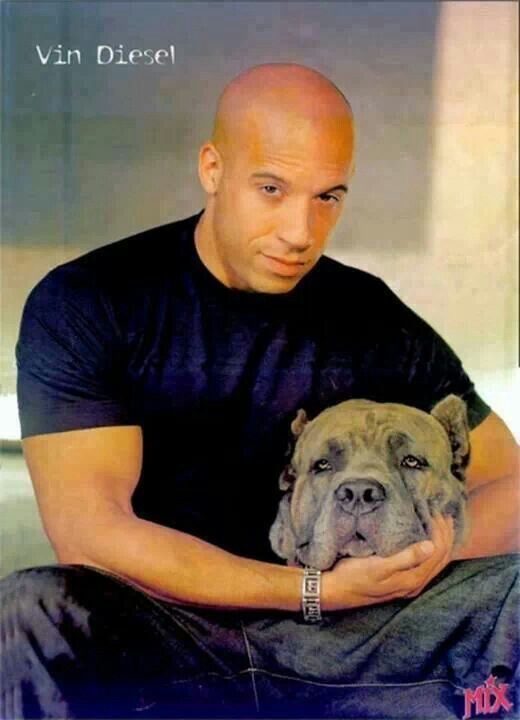Vin Diesel with mastiff