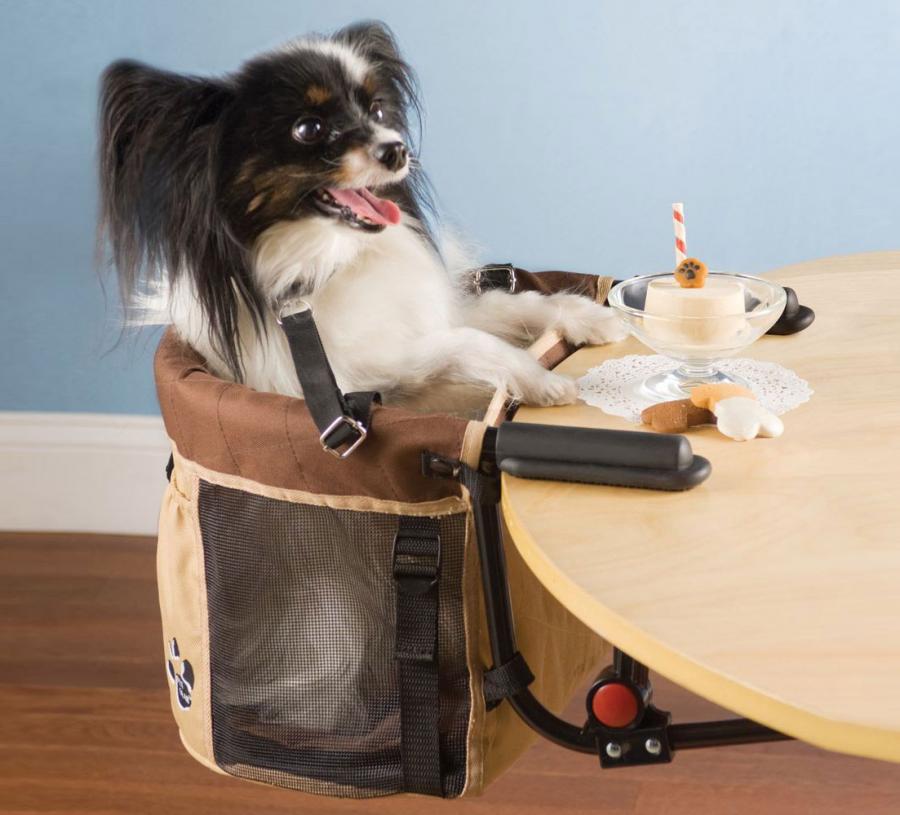 dog highchair