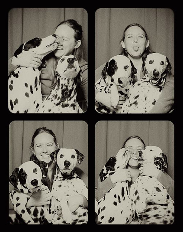 pit-bulls-photo-booth-cute-dogs-5