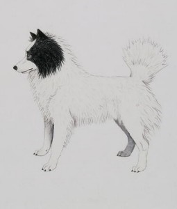 19-extinct-dog-breeds