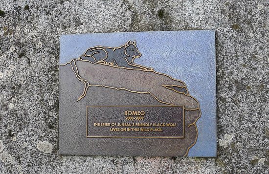 romeo-9