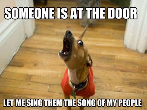 dachshund meme at the door