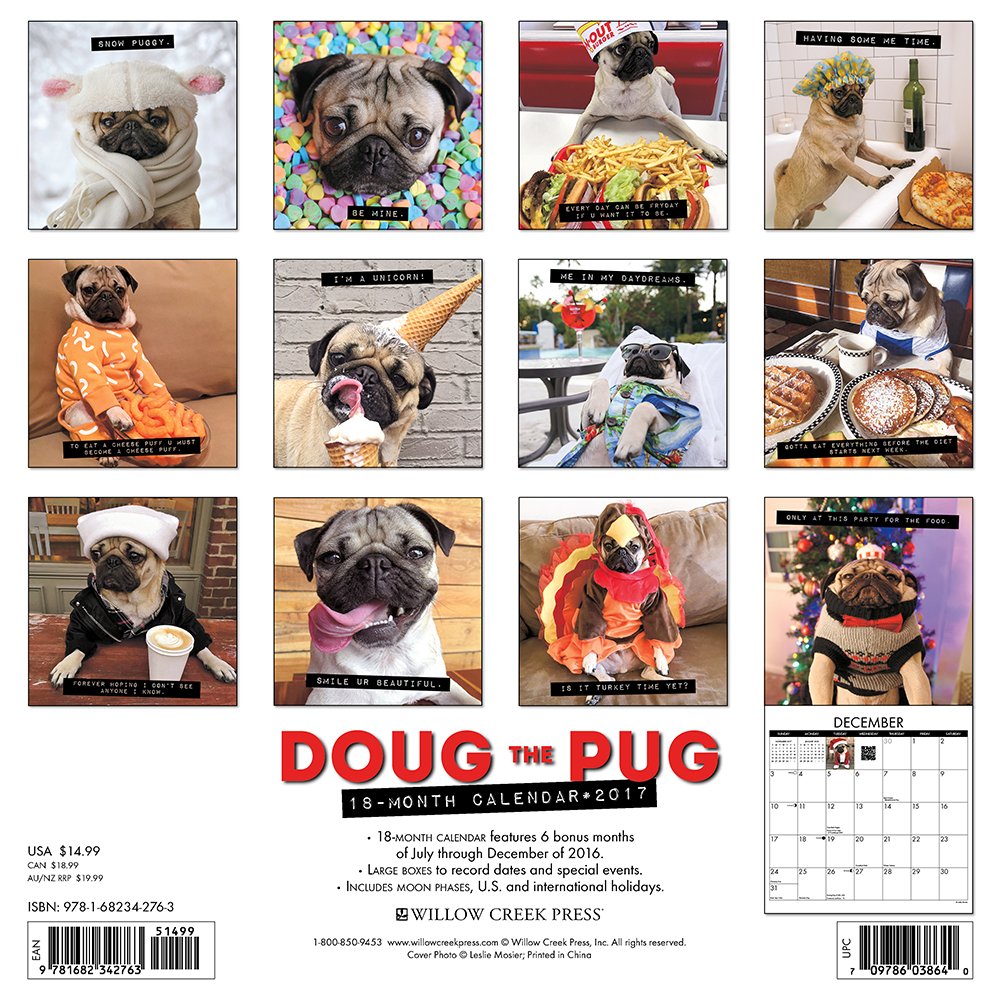 25-gifts-that-anyone-obsessed-with-pugs-will-love