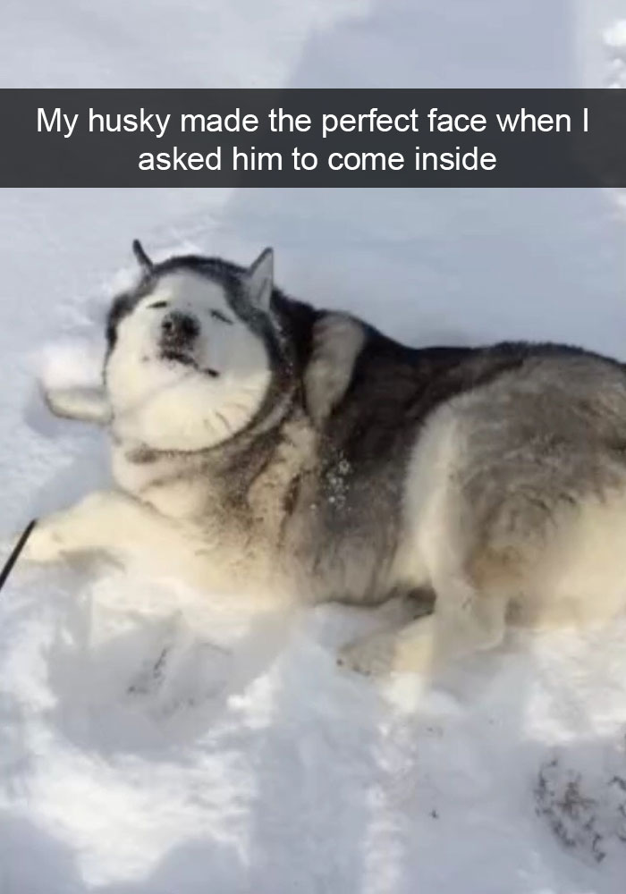 Husky Post