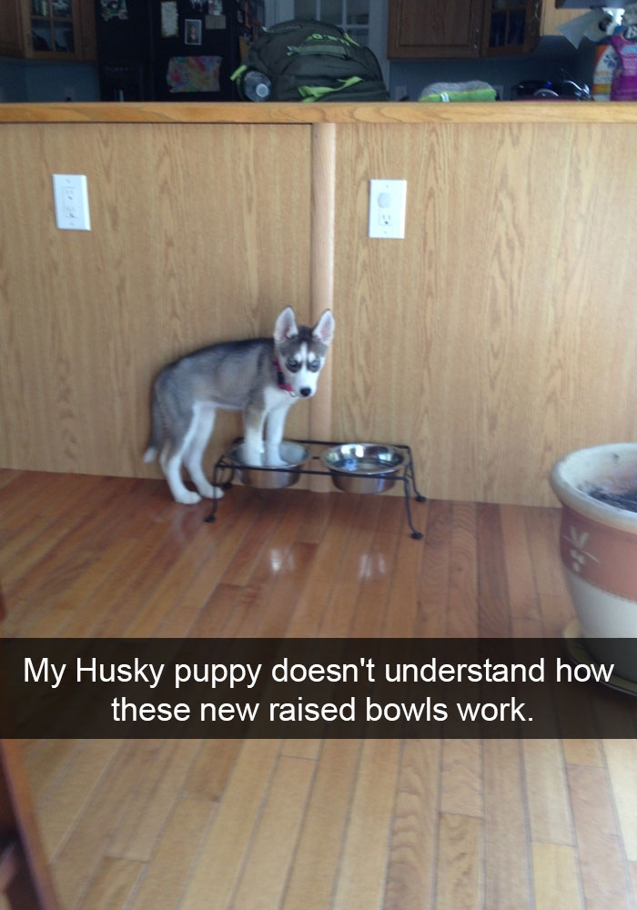 Husky Post