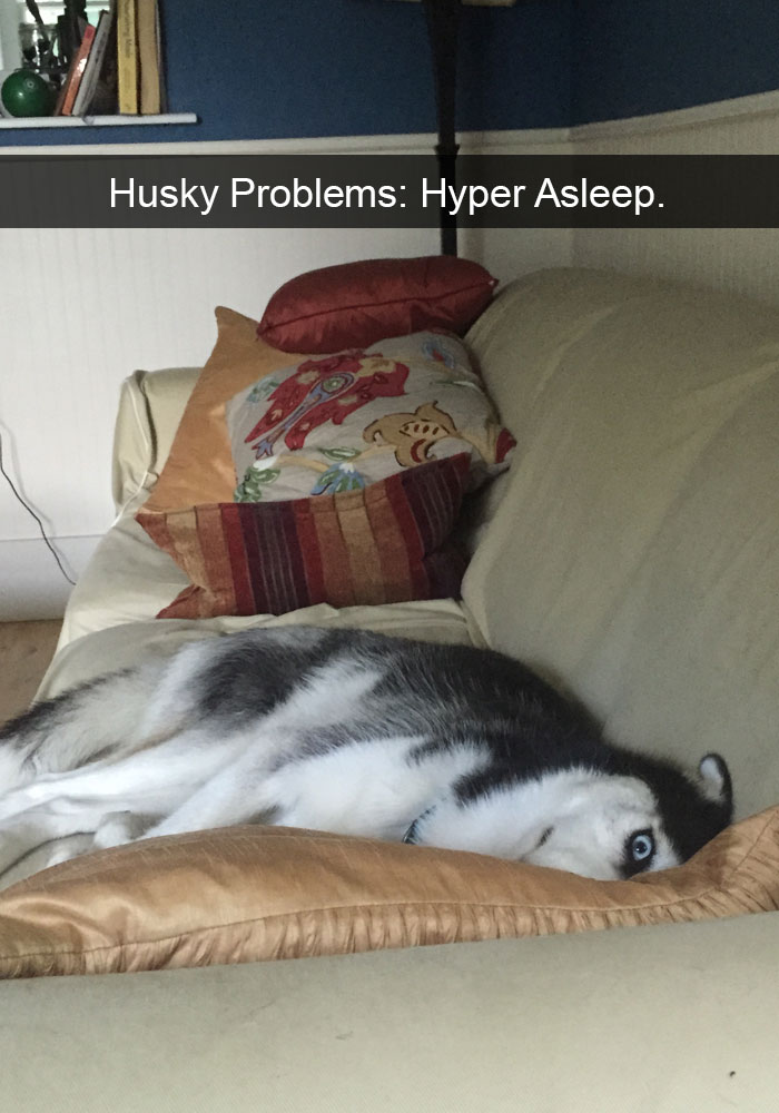 Husky Post