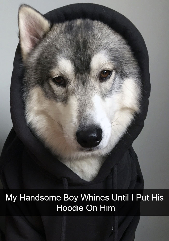 Husky Post