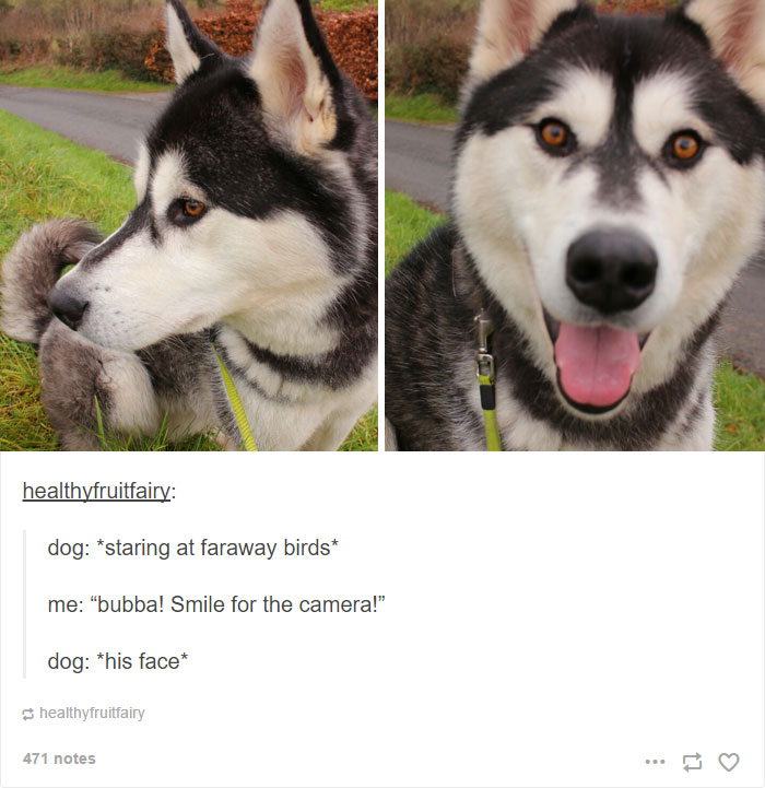 Husky Post