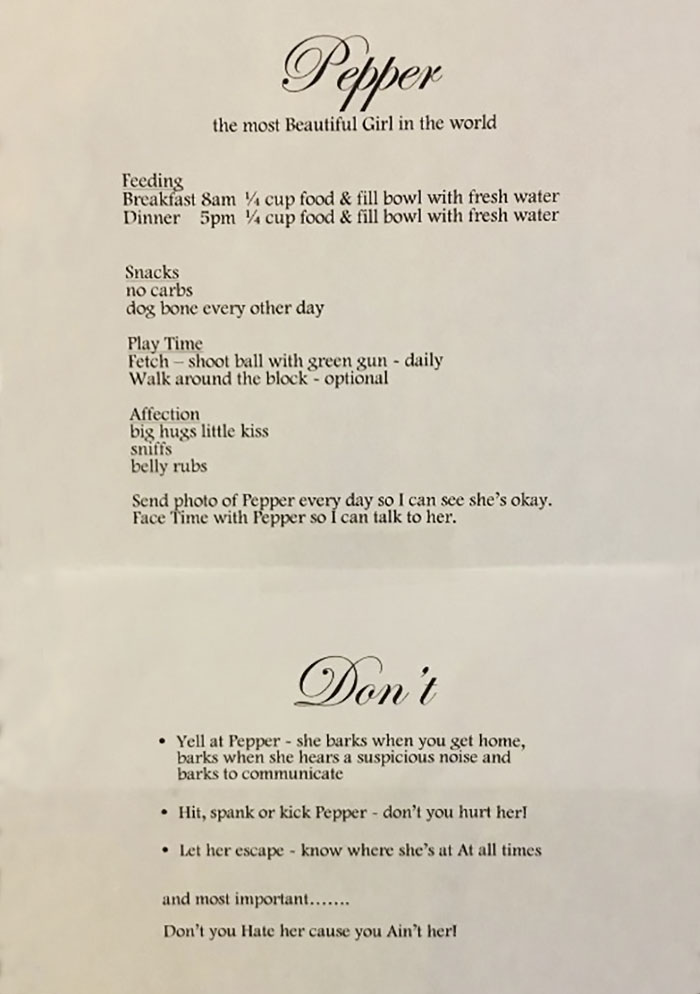 hilarious-dog-sitting-rules-pepper-tommy-rivers-6