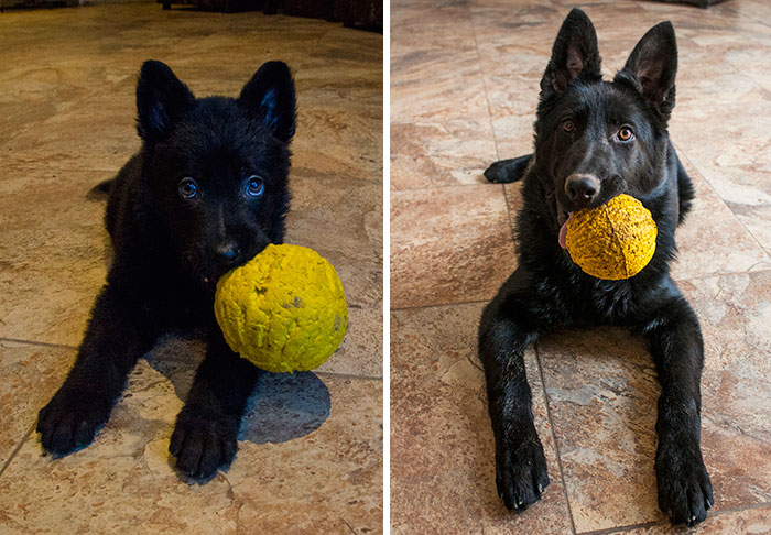 Remi, Four Months Apart