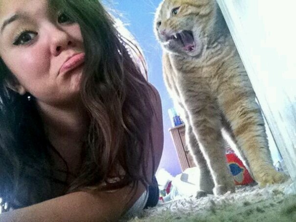 I Was Taking Pictures With My Cat