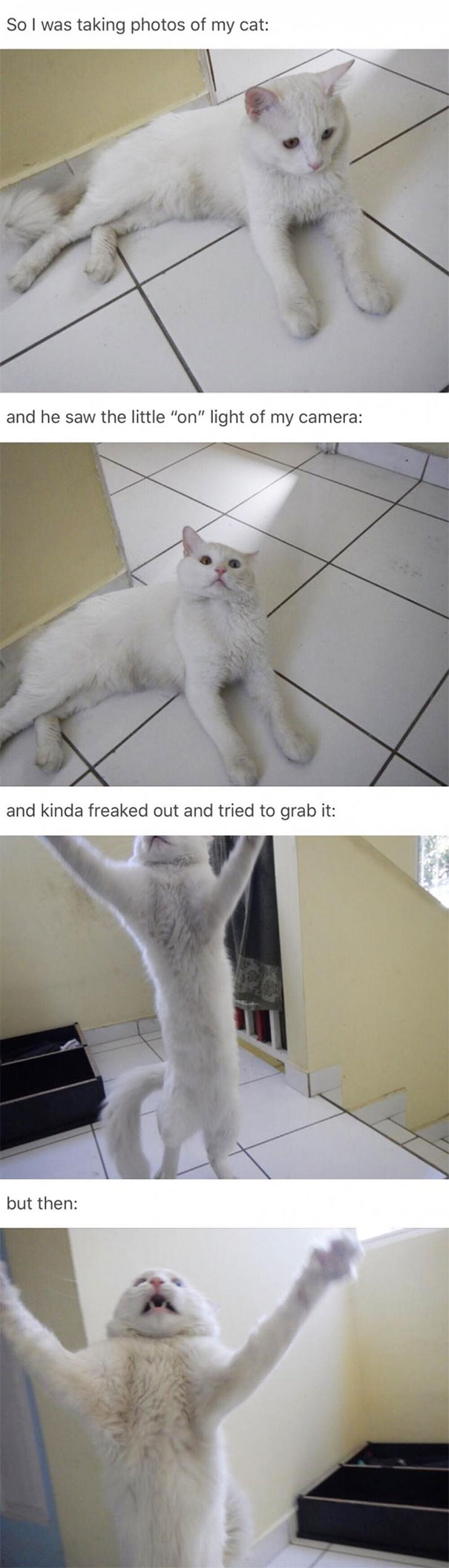 He Hates Camera