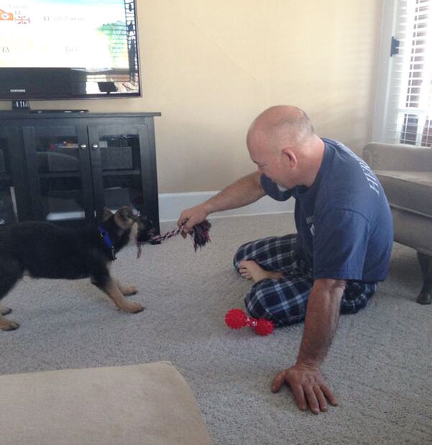 To Everyone Who Knew How Much My Dad Didn't Want A Puppy. Here He Is Just Having A Ball