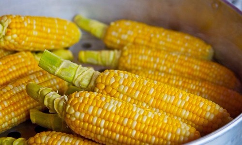 Corn on the Cob