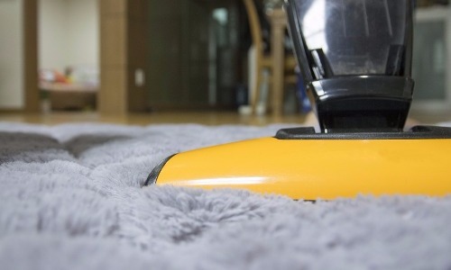 Vacuuming With Your Dog Present