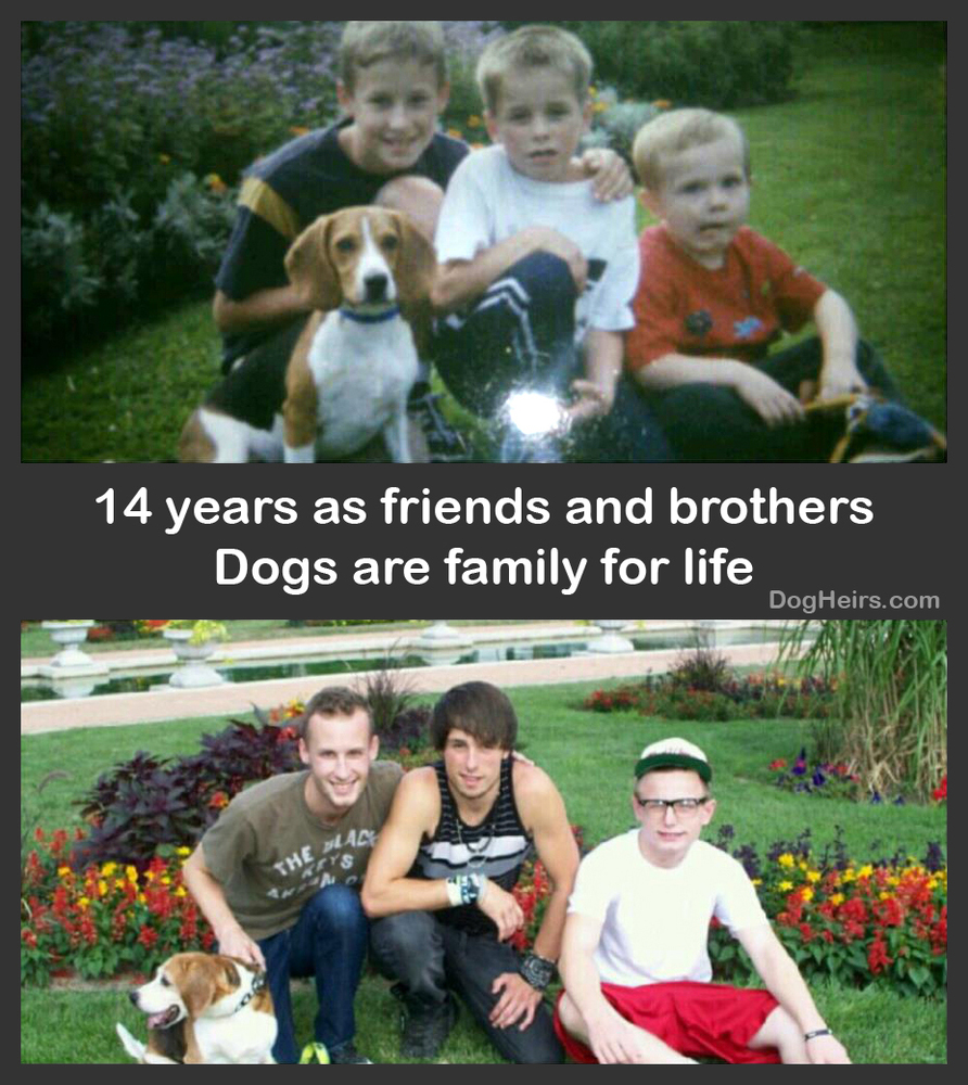 14 Years Later