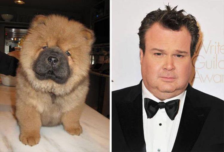 Eric Stonestreet