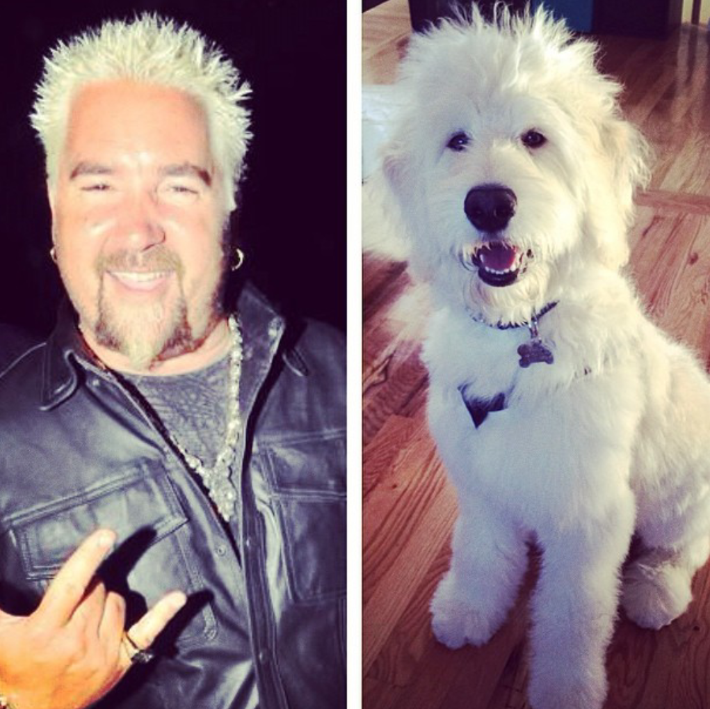 Guy Fieri