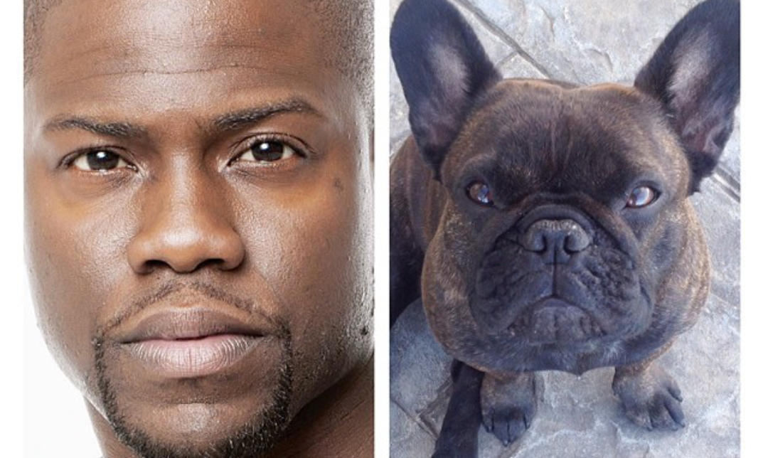 Kevin Hart