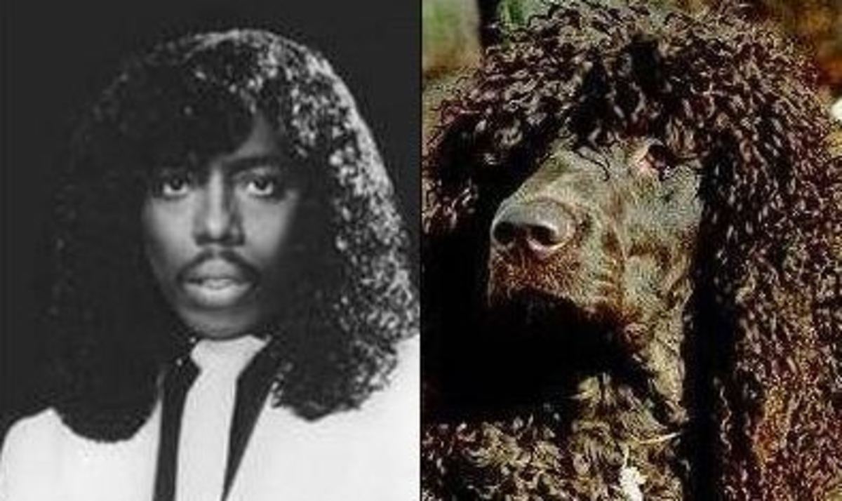 Rick James