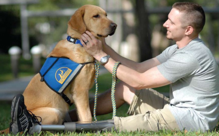 Service dogs know when they are working and when they are 'off'