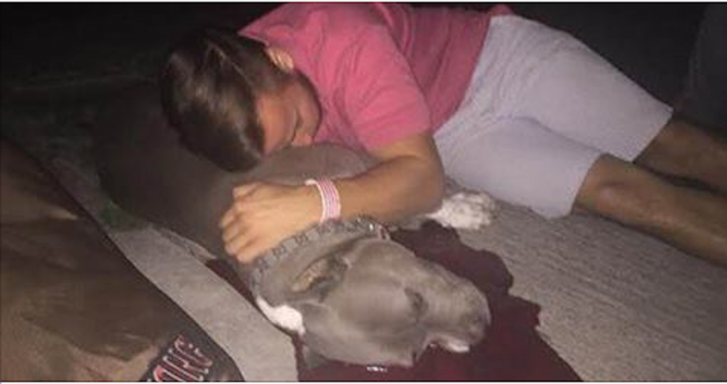 Court Rules Police Officers Can Legally Execute Your Dog if It Does