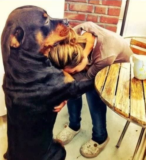 Rottweiler-hug