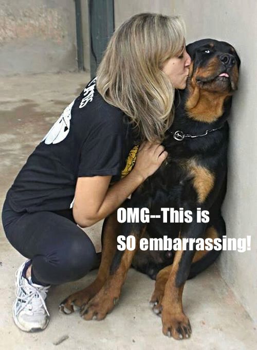 rottweiler kiss meme