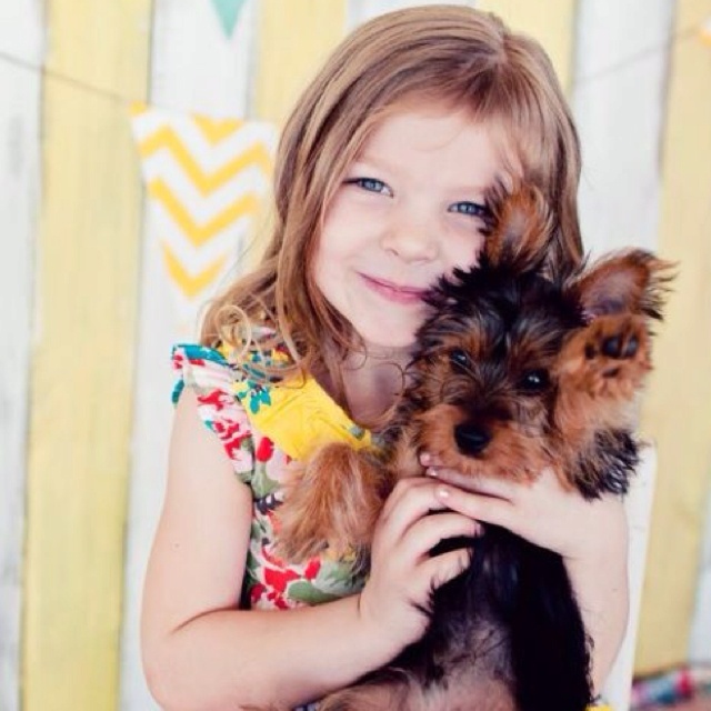 yorkshire terrier with kids