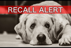 BREAKING: Major Pet Food Company Recalls 548 Cases Due To Elevated Hormone Levels