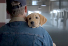 Rehomed Puppy’s Separated From Her Best Friend When She Decides To Follow Her Heart