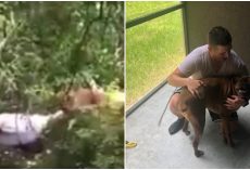 Cop Rips Off Uniform And Jumps In Deep Murky Swamp To Save Drowning Dog