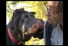 Girl Rescues Dying Dog And Then He Let’s Her Know It’s Time To Say ‘Goodbye’