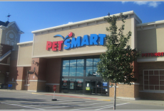 PetSmart Under Fire Again– More Dogs Reportedly Die After Grooming