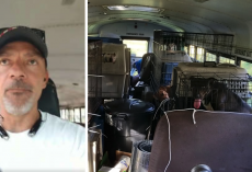 Man Buys School Bus To Save Shelter Pets Left Behind During The Hurricane
