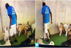 Doggy Daycare Worker Caught On Webcam Kneeing Pup In The Throat Multiple Times