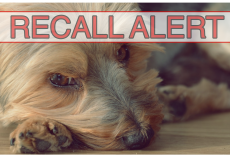 BREAKING: Pet Food Recalled Due To Vitamin D Toxicity In 3 Dogs