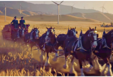 See Budweiser’s 2019 Super Bowl Ad- Starring Famous Clydesdales, A Dog, And The Wind