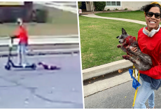 UPDATE: Latest On Woman Who Dragged Bloody Dog Behind Scooter Then Laughed About It