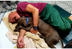 Humane Society Needs Dog-Snuggling Volunteers To Help Pups In Need