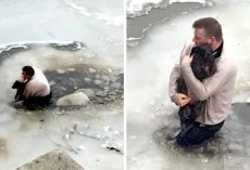Man Sees Terrified Dog Stuck In Frozen Waters, Risks His Life & Jumps Right In