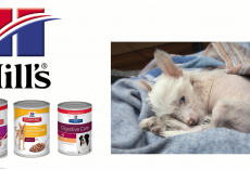 Pet Food Maker ‘Dragged Its Feet Issuing A Recall’ Now Faces Mounting Legal Trouble