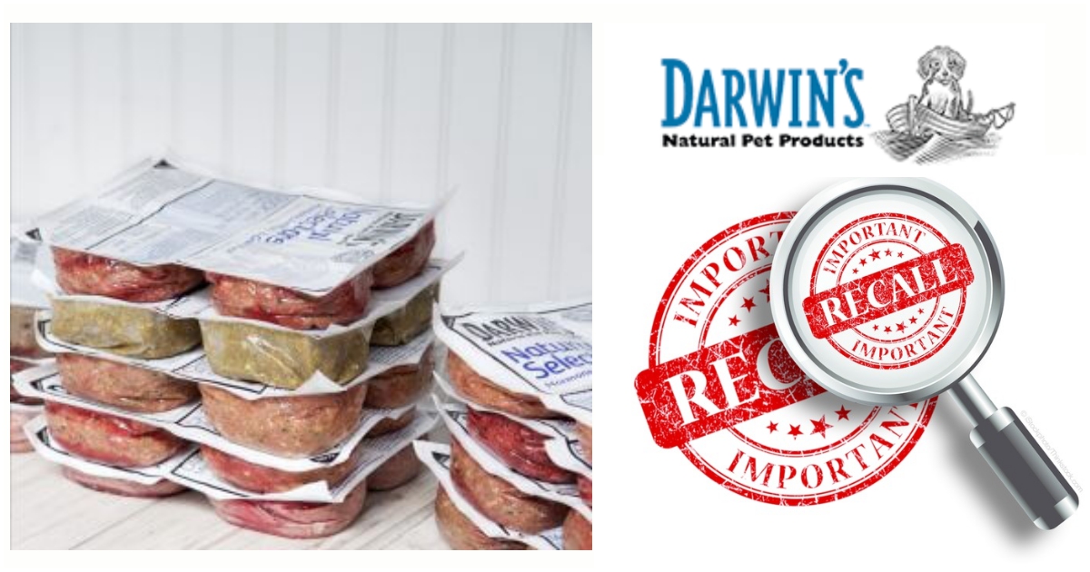 FDA Warns Do Not Feed These 3 Lots Of Darwin’s Natural Dog Food