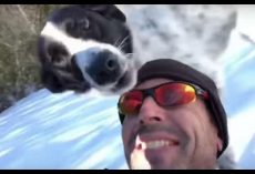 Guy Body-Sleds Down Huge Hill With Dog Then Sends His Wife Hysterical Video