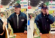 Veteran Loses His Dogs After A Heart Attack, Pleads For Them To Be Returned
