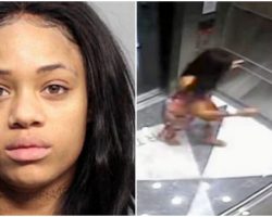 Model Caught Kicking Her Dog Repeatedly In Stomach – Gets Probation In Plea Deal