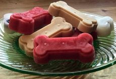 3 Super-Easy Frozen Dog Treats You Can Make at Home in Less Than an Hour