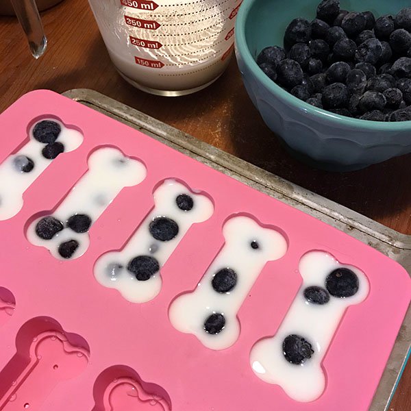 frozen fruit treats for dogs