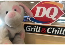Dairy Queen Hopes Social Media Will Reunite Child With Long Lost Stuffed Dog