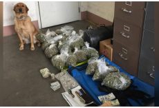 Good Dog K9 Makes Massive Drug Bust & She Couldn’t Be Prouder